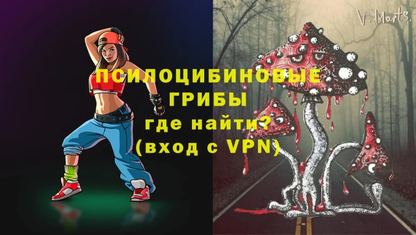 МДПВ Алексин